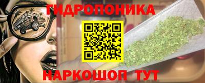 ПСИЛОЦИБИНОВЫЕ ГРИБЫ Волгодонск