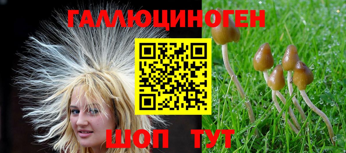 Галлюциногенные грибы MAGIC MUSHROOMS Похвистнево